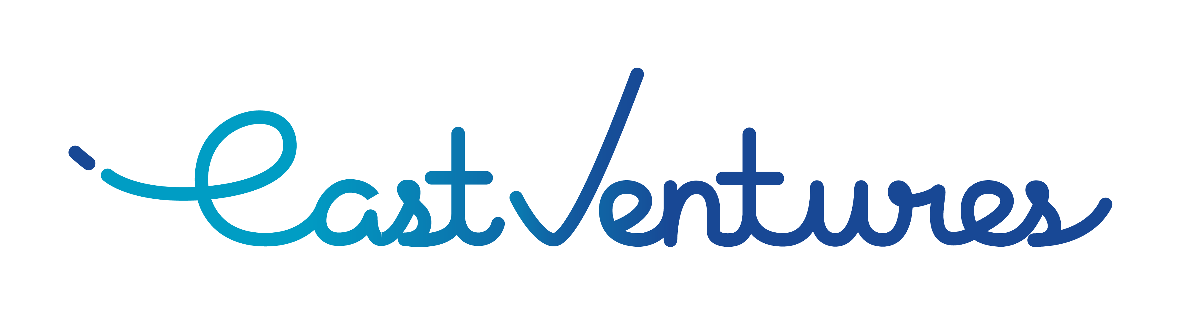 logo25